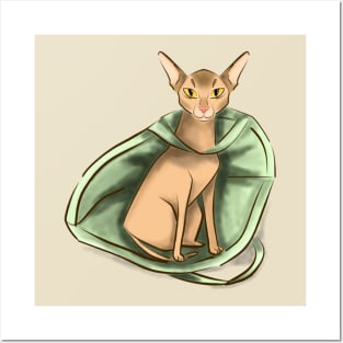 Funny Abyssinian cat Posters and Art